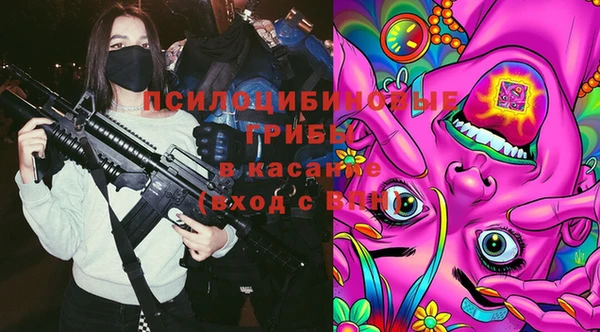 стаф Белоозёрский