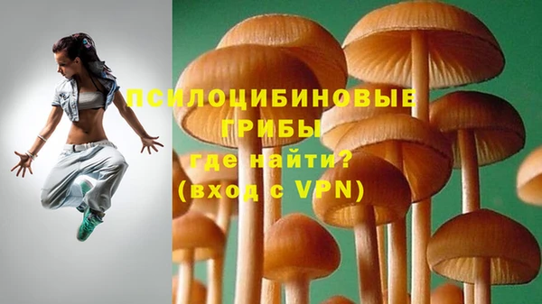 стаф Белоозёрский