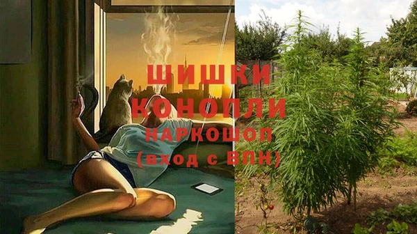 MESCALINE Белокуриха