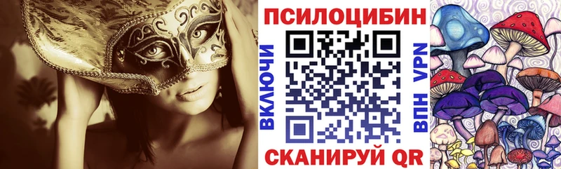 Псилоцибиновые грибы Magic Shrooms  Будённовск 